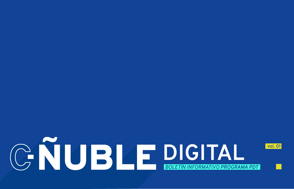 Innovación tecnológica y Construye Ñuble 4.0 – Boletín C-Ñuble Digital