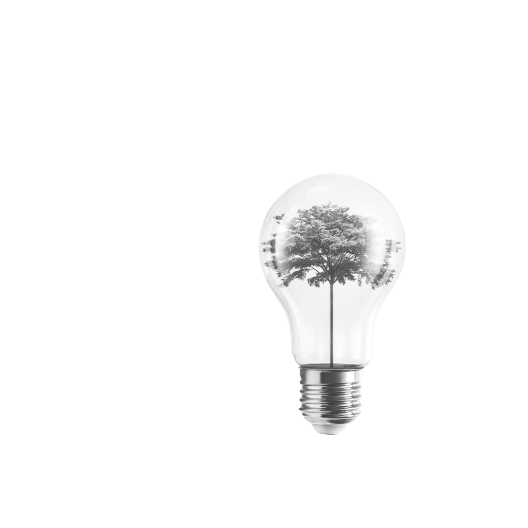 Agenda Climática + Economía Circular