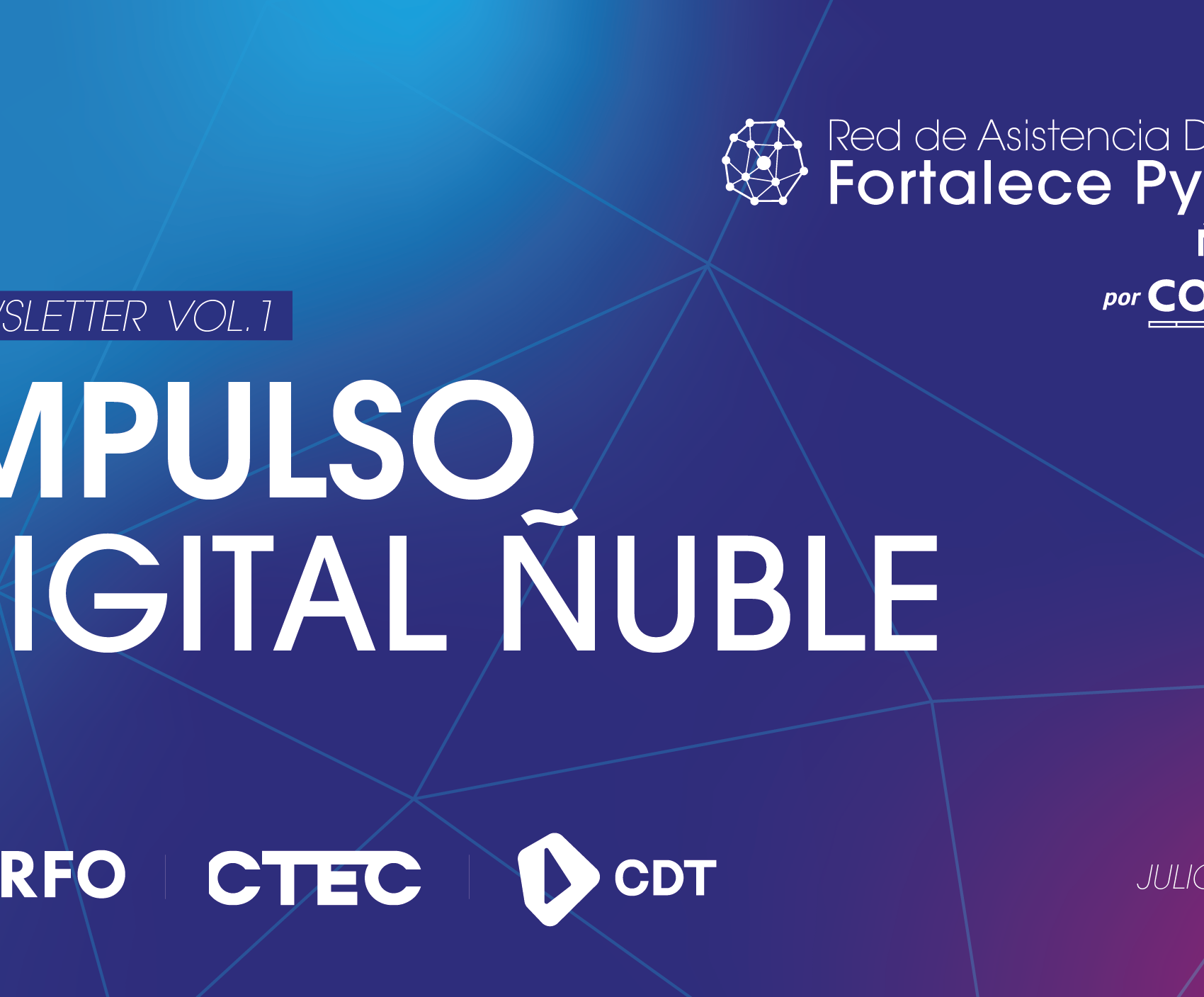 VOL.1 Newsletter: Impulso Digital Ñuble